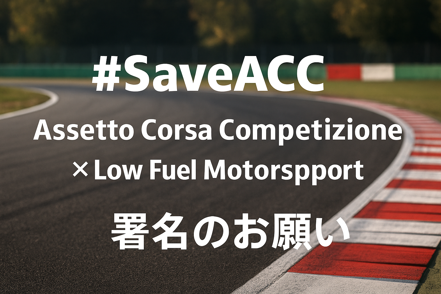 #SaveACC 署名のお願い｜Assetto Corsa Competizione × Low Fuel Motorsport の応援バナー